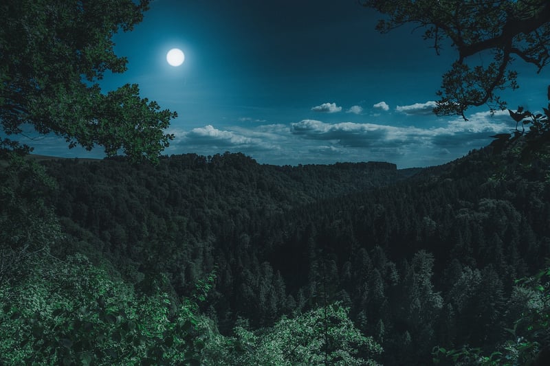 Moon