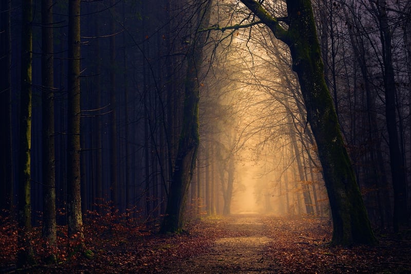 Enigmatic Image